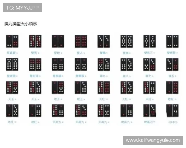 牌九游戏单机版最新版本上线，操作简单易上手，适合新手玩家快速入门